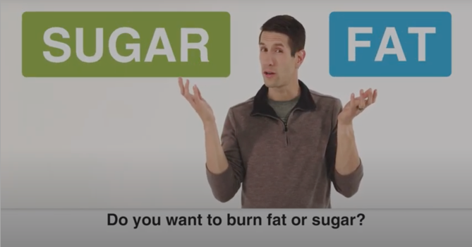 Atkins diet video